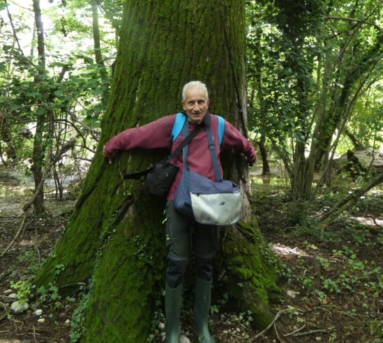 Il biologo Cesare Lasen che cinge di schiena un albero